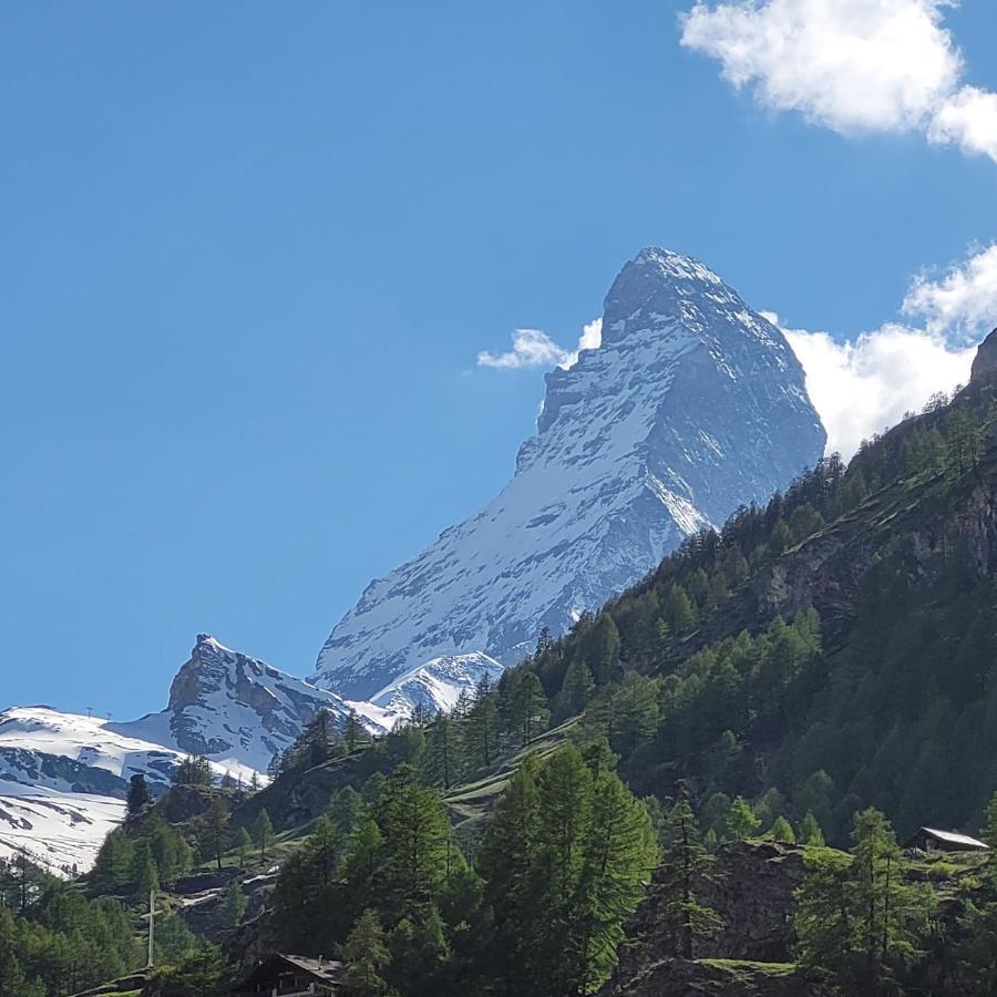 Viktoria B Apartment Zermatt Exterior foto